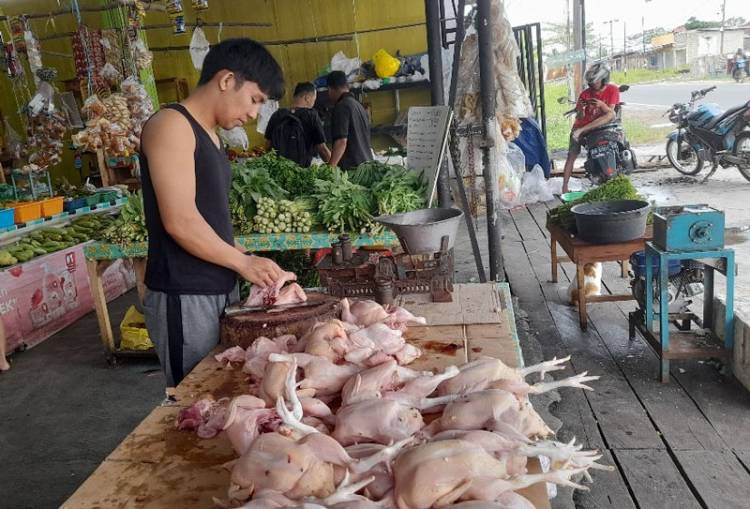 Harga Ayam Potong di Pekanbaru Naik Drastis, Tembus Rp37ribu/Kilogram
