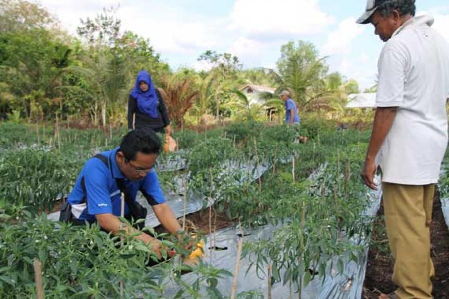 DPPTP Fasilitasi Petani Dapatkan KUR    
