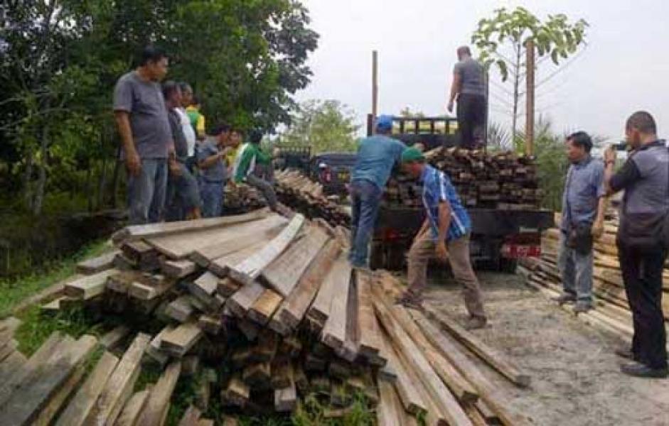 Dishut Amankan 38 Kubik Kayu Illog