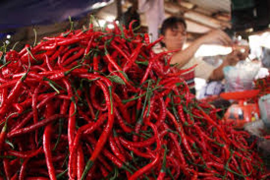 Harga Cabe Meroket, Dewan Minta Berdayakan Petani Lokal