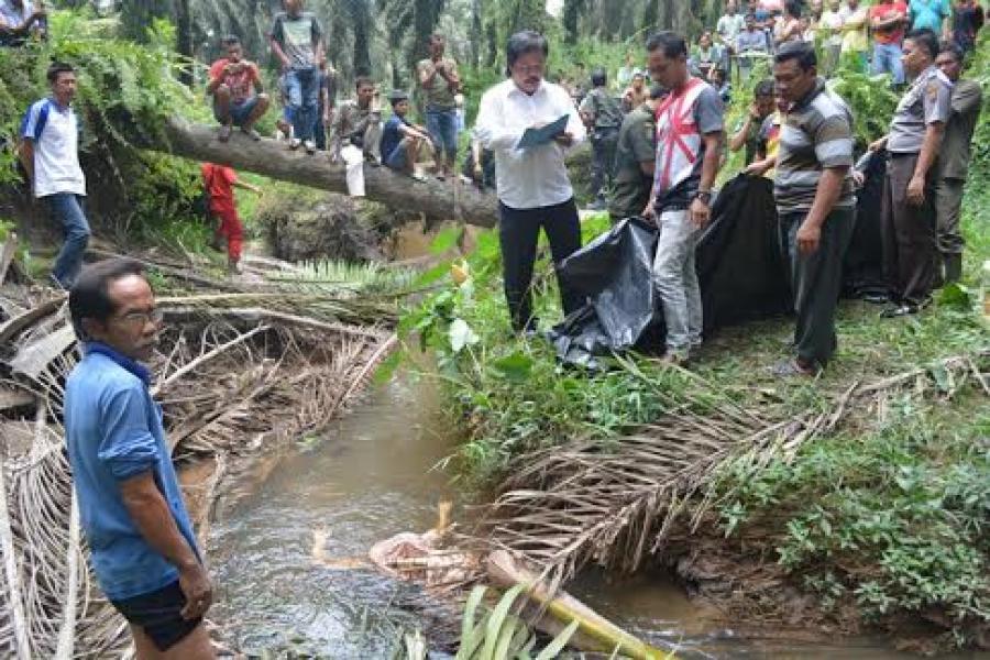 Mayat Wanita Membusuk di Sungai Kerumutan