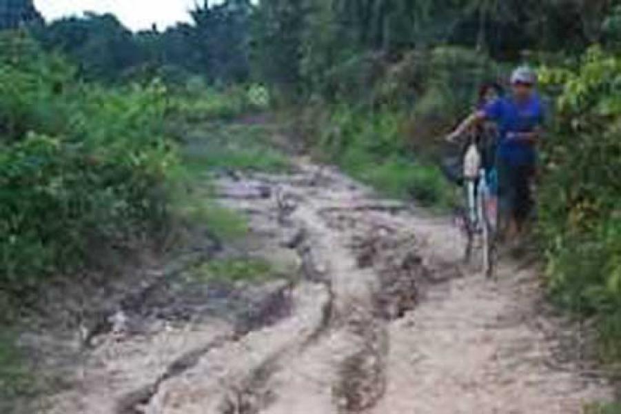 Pertumbuhan Ekonomi Pulau Merbau Melambat
