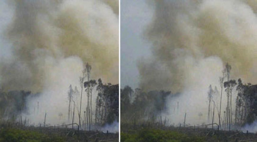 10 Hotspot Terpantau di 3 Kecamatan Pelalawan