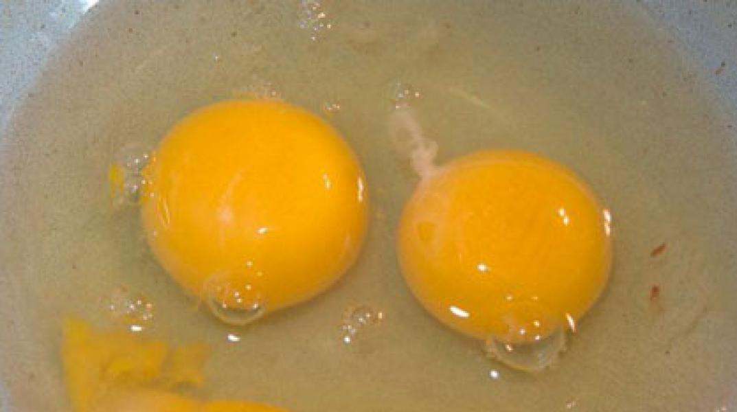 Fakta Mengejutkan Telur Ayam (2-Habis)