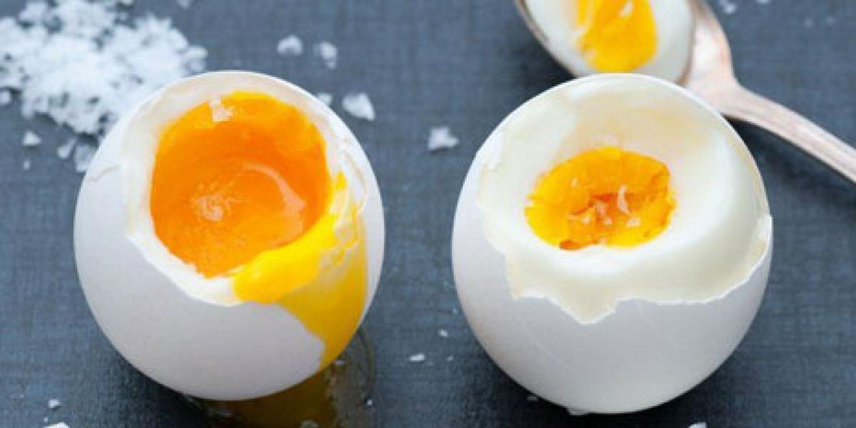 Fakta Mengejutkan tentang Telur Ayam (1)