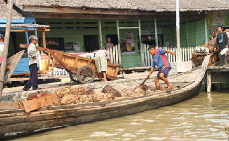 Hujan Turun Harga Ikut Turun, Petani Karet Menjerit