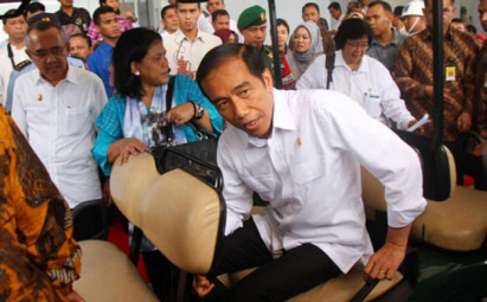 KPK Desak Jokowi Terbitkan Perppu Kekebalan Hukum