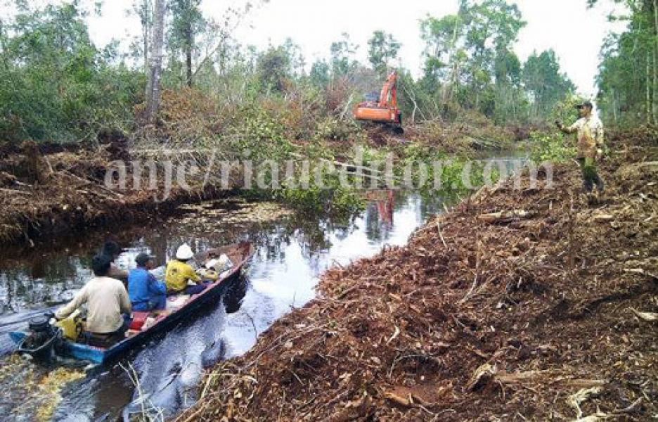 PERADES Desak Presiden Jokowi Cabut Izin HTI APRIL Group di Meranti