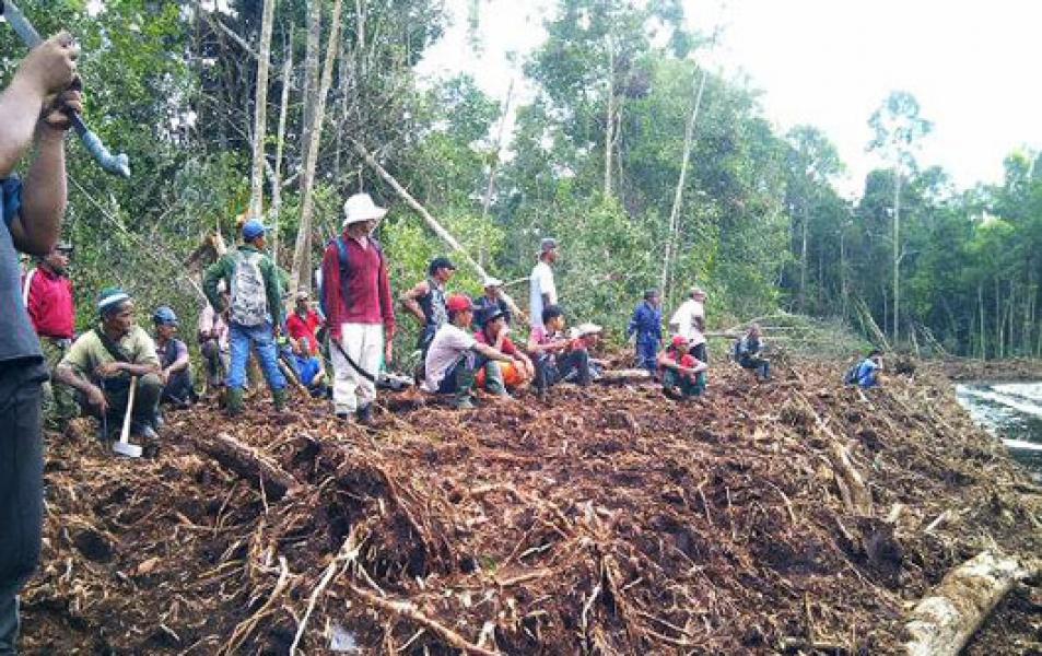 Ratusan Warga Usir 20 unit Eksavator PT RAPP dari Pulau Padang