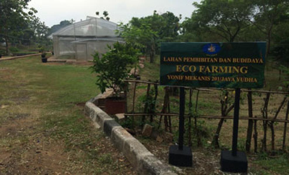 TNI Tanam Sayuran Manfaatkan Lahan Tidur