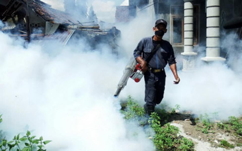 Begini Cara Mengantisipasi Virus Zika