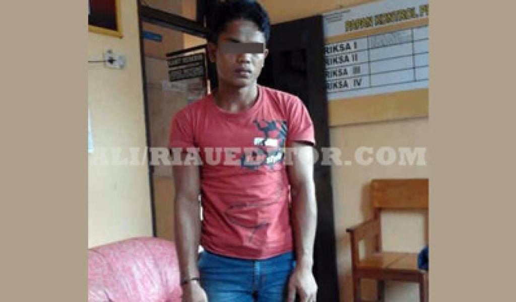 Cabuli Gadis Dibawah Umur, Buruh di Inhu Ditangkap Polisi