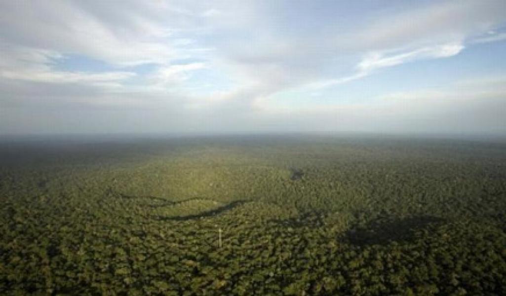 Cara Restorasi Lahan Gambut untuk Menurunkan Emisi