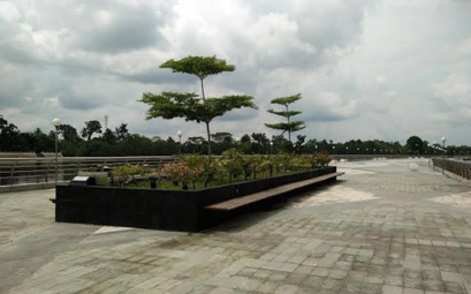 Di Sepanjang WFC Siak Akan Ditanami Pohon Barembang 