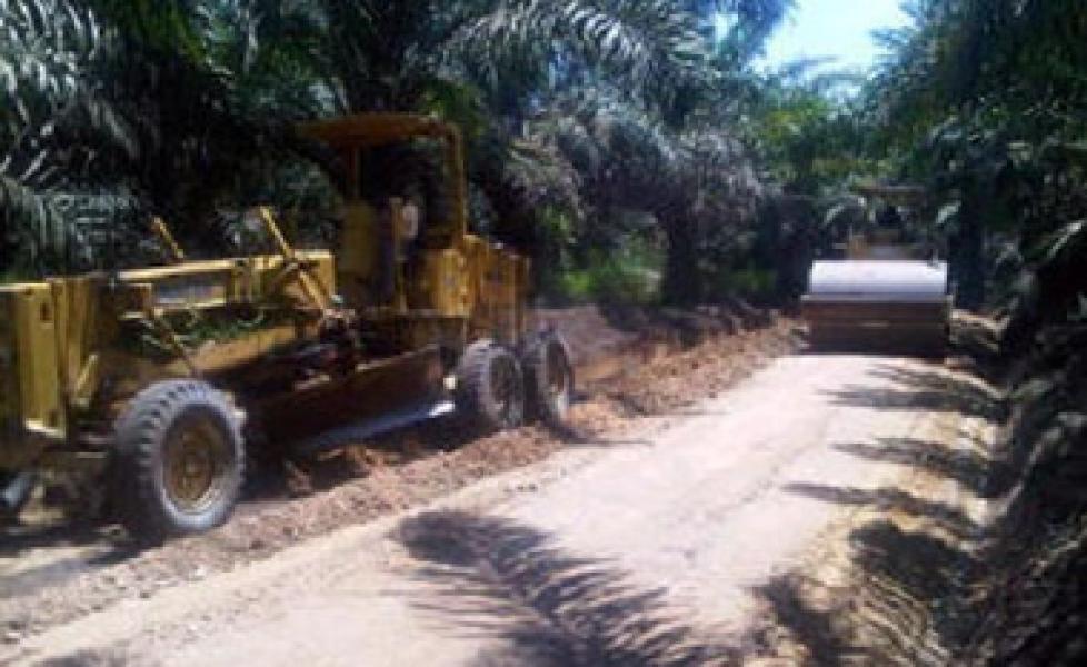 2016, Disbun Rohil Perioritaskan Pembangunan Jalan Produksi Perkebunan