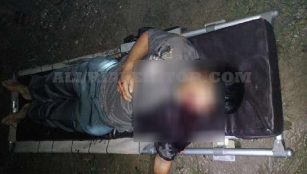 Ditimpa Pohon Tumbang, Pengemudi Innova Meregang Nyawa