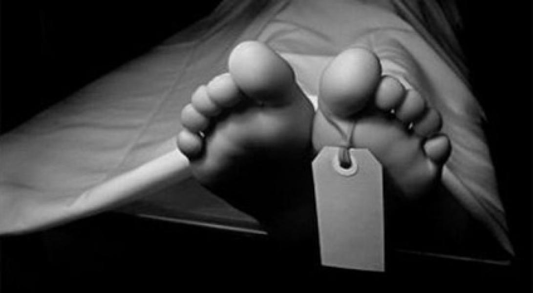 Dua Anggota Brimob Ditemukan Tewas di Kebun Sawit