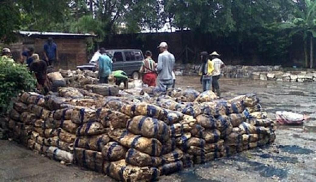 Harga Karet Anjlok Hingga di Bawah Rp5000 per Kilogram