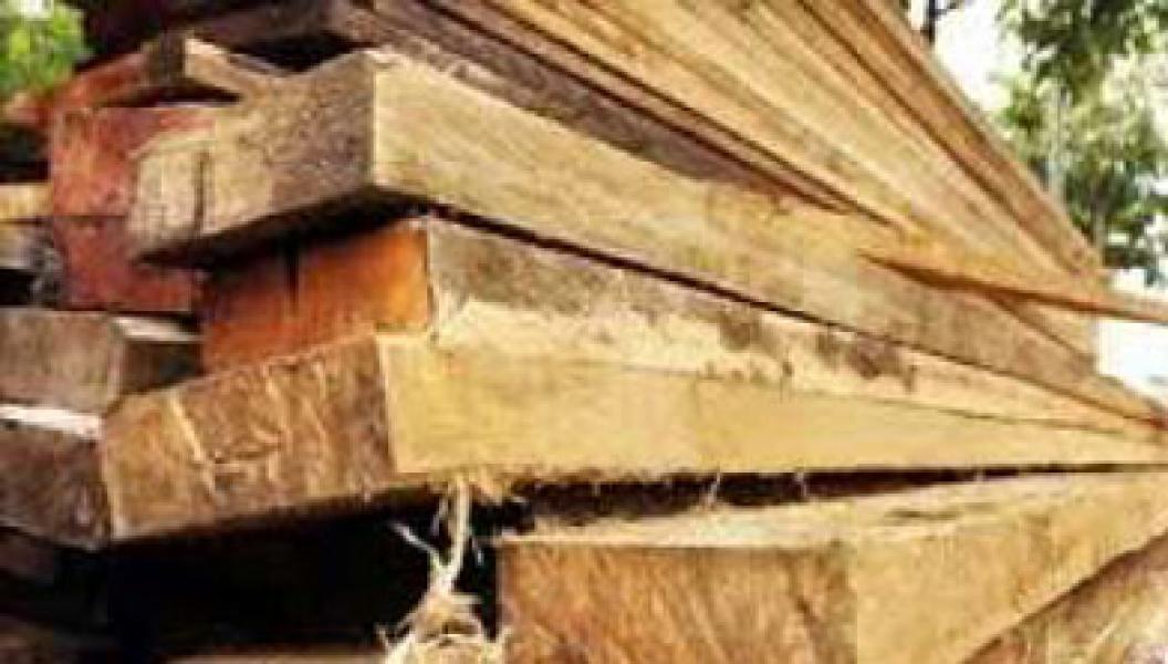 Illog Kembali Marak di Kuantan Mudik, Pemerintah Diminta Bertindak