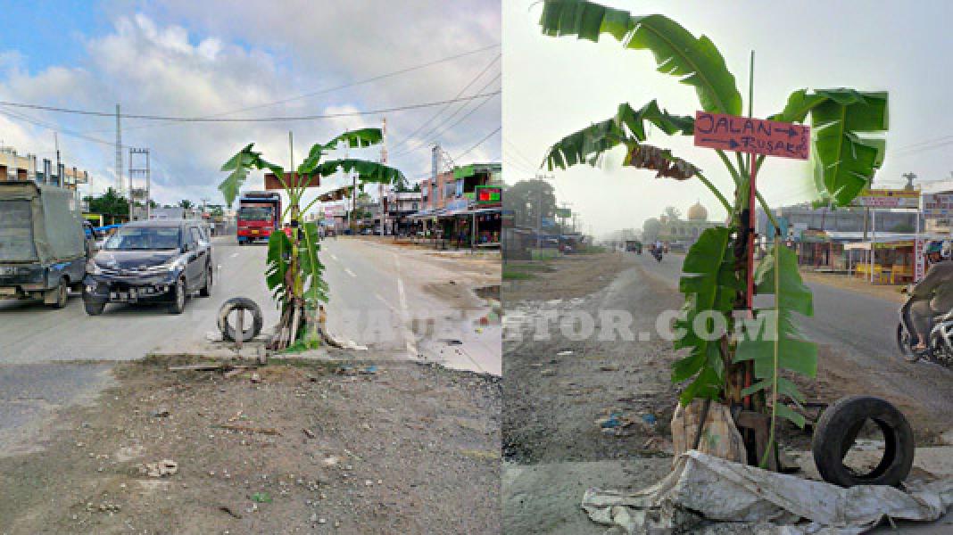 Jalintim Berlubang, Warga Tanam Pokok Pisang