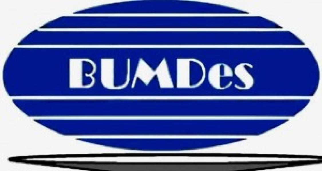 PJ Bupati: BUMDes Harus Menjadi Garda Terdepan Dalam Menjaga dan Mengelola Aset Desa