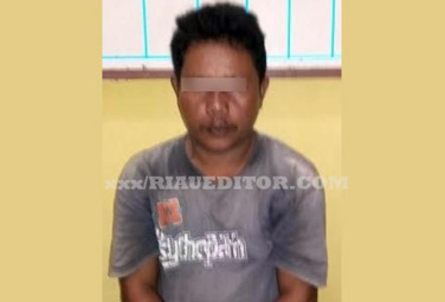 Pelaku Pemerkosa dan Penganiaya Gadis Dibawah Umur di Rohul Dibekuk Polisi