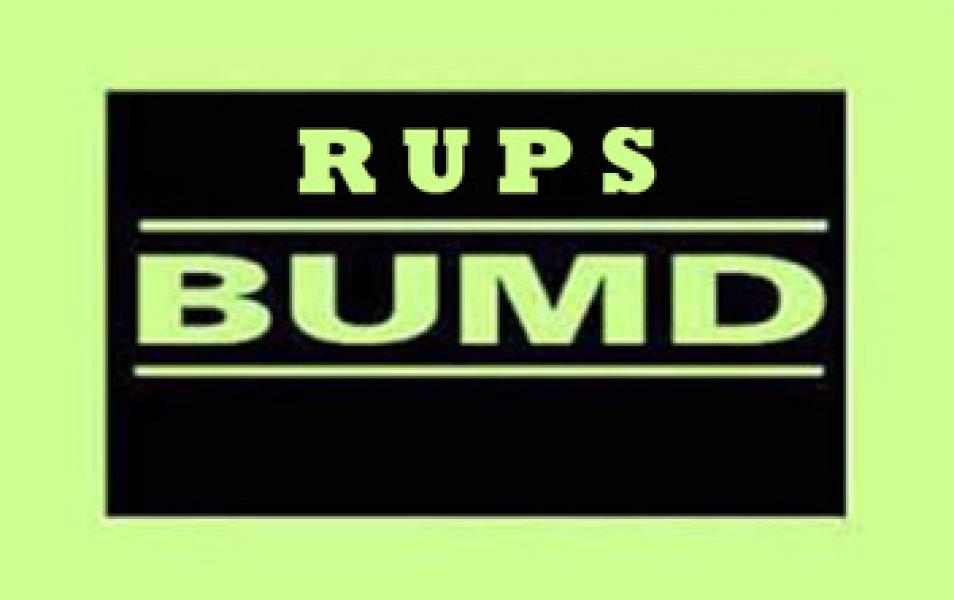 Pemprov Minta BUMD Lakukan RUPS Sebelum Waktu yang Ditetapkan