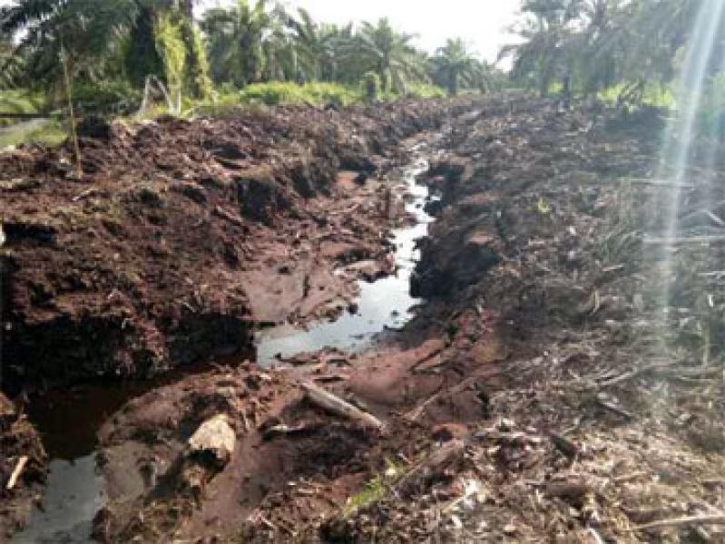AMPKB Serahkan Laporan Kejanggalan Pekerjaan Normalisasi Sungai Buluh Oleh PT Adei