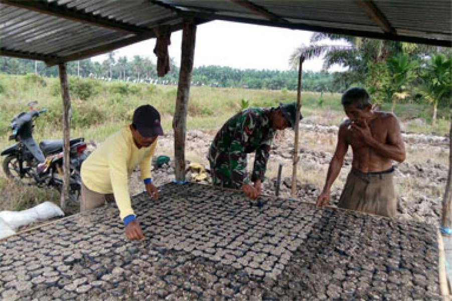Babinsa Koramil Tanah Merah Ajak Masyarakat Tanam Cabe Gunakan Media Polybag