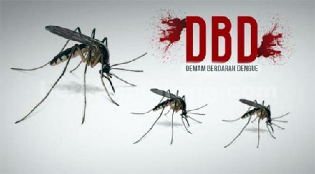 DPRD Pekanbaru Ingatkan Antisipasi Wabah DBD