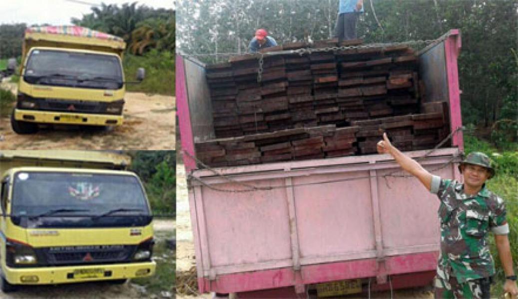 Danramil Bunut Tangkap Pelaku Ilegal Loging di Jalan Lintas Bono