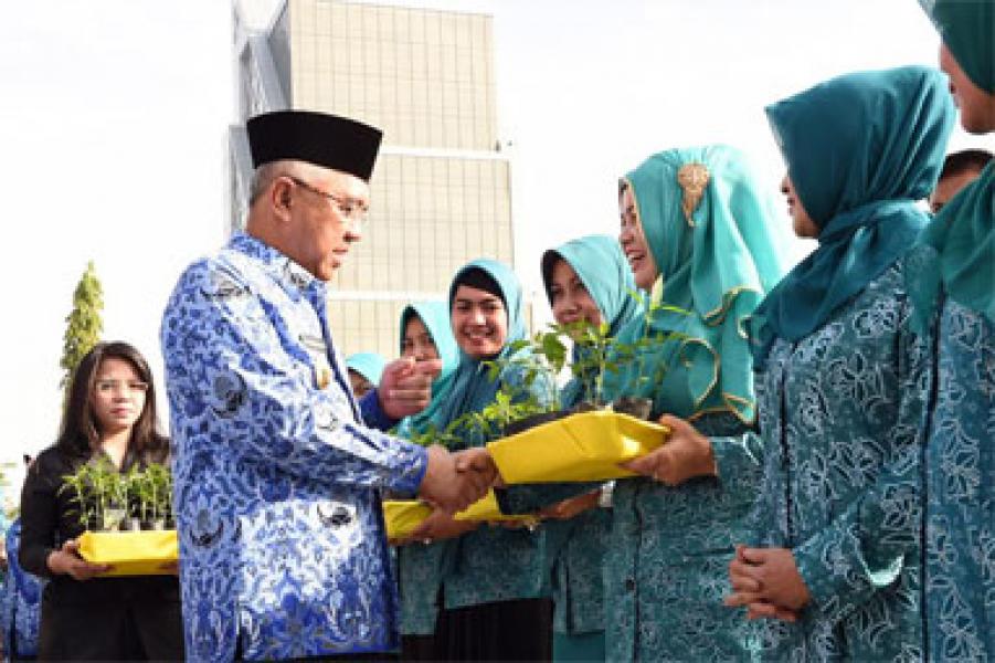 Gubri: Penanaman Cabai Bisa Tekan Inflasi Daerah