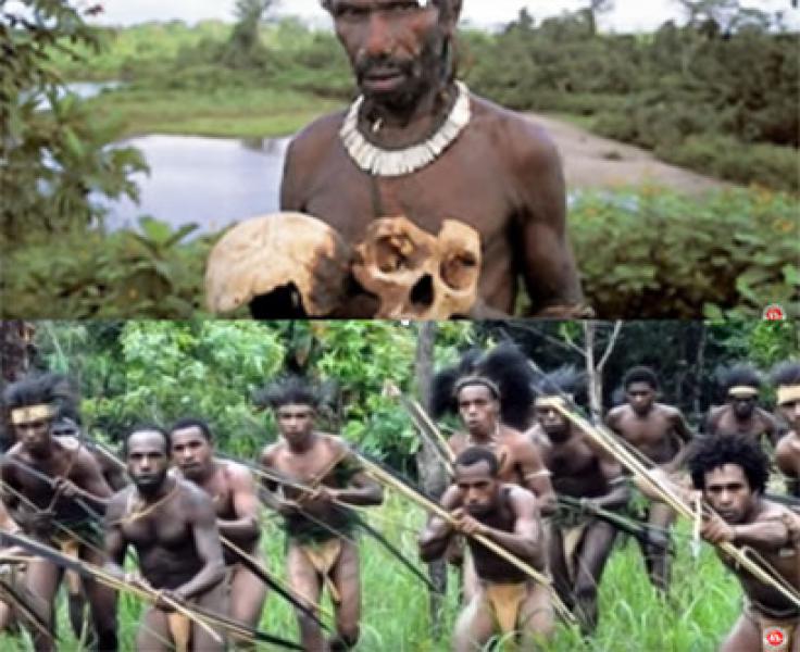 Menguak Suku Kanibal Pemakan Manusia di Pelosok Papua