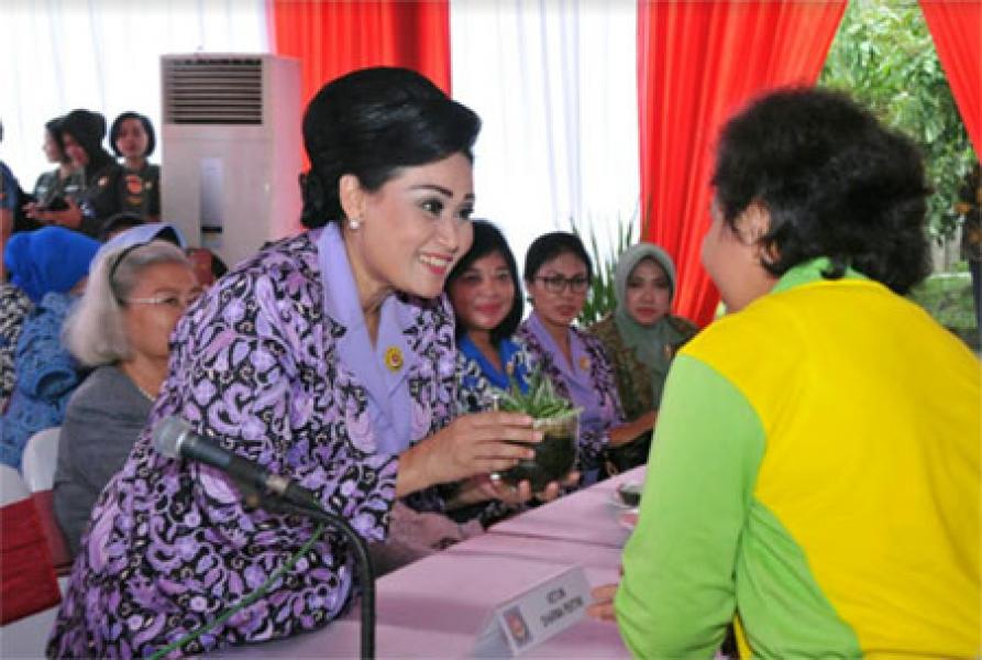 Ketua Umum Dharma Pertiwi Tinjau Sentra Pembenihan Padi 