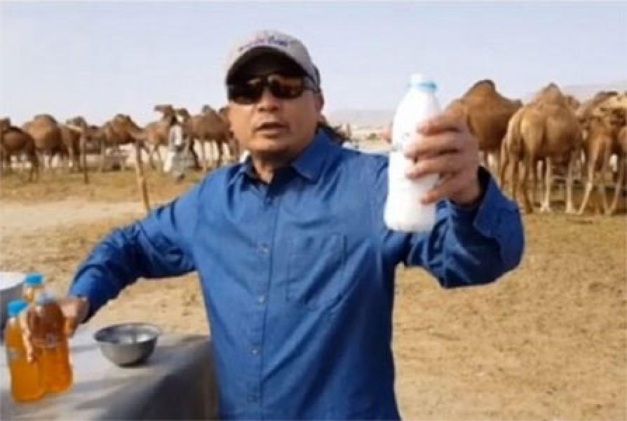 Minum Kencing Unta, Halal atau Haram?