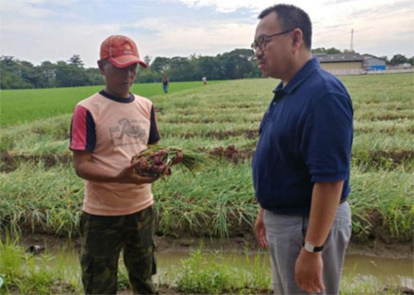 Polemik Impor Beras Menjadi Bencana Ekonomi Petani