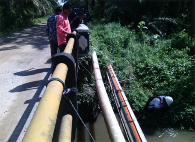 Ribuan Ikan Mati, PKS PT RSI Diduga Kembali Cemari Sungai Ngaso