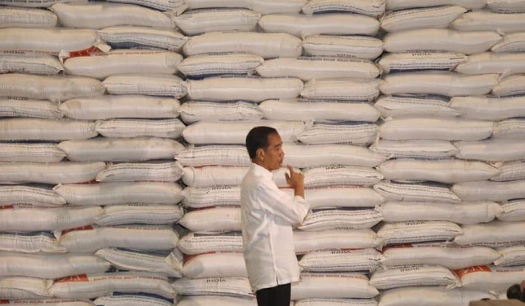 Masih Rajin Impor Beras, Swasembada Bagaimana Pak Jokowi?