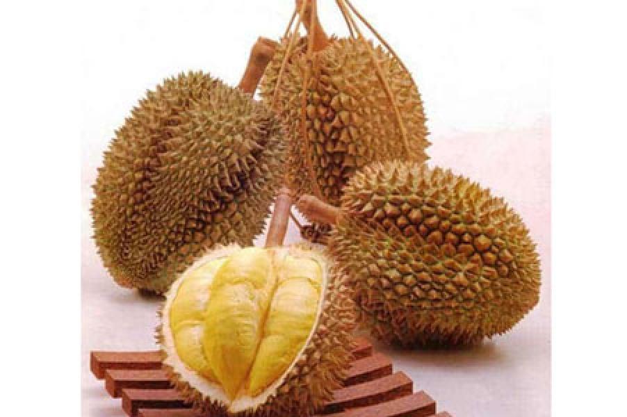 Ragam Manfaat di Balik Nikmatnya Durian