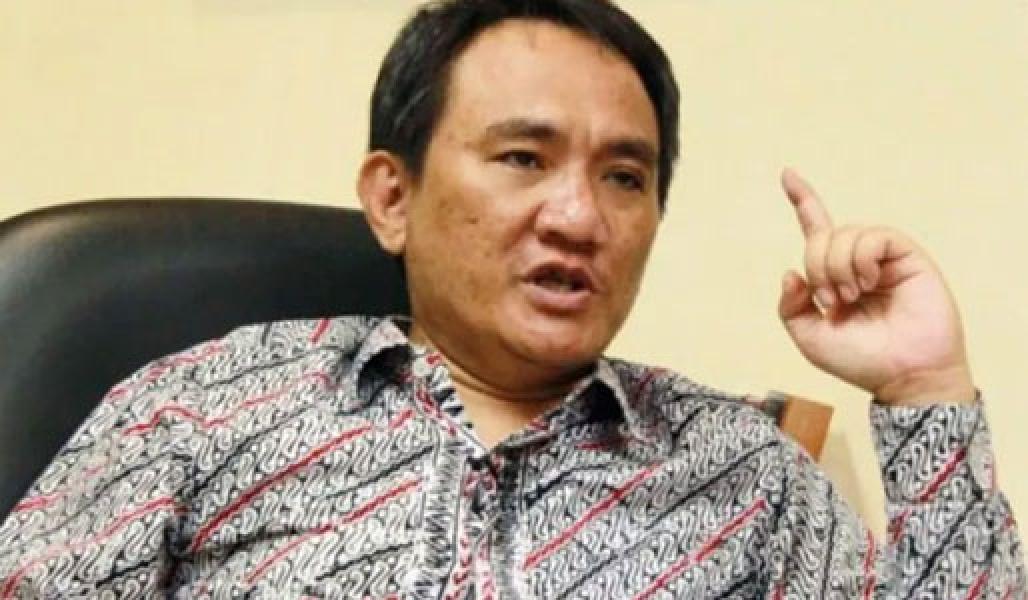 Rumahnya Digeruduk Polisi, Andi Arief Mengadu ke Presiden Jokowi