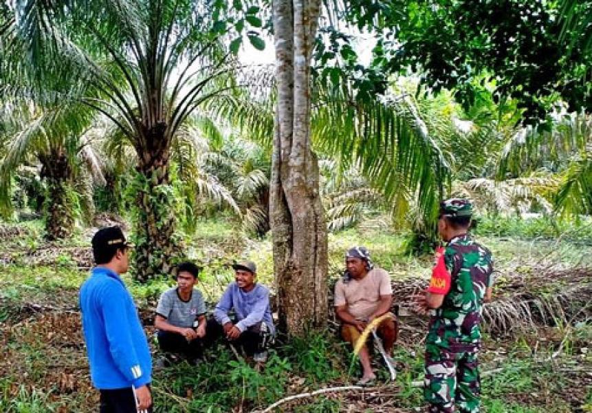 Cegah Karlahut, Babinsa Koramil 10 Kunto Darussalam Patroli Karlahut