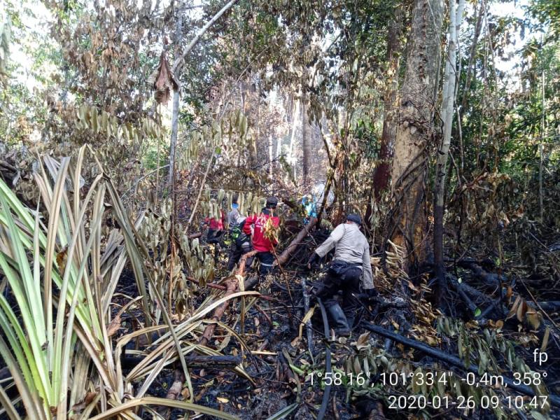 Hampir Dua Pekan Kebakaran Lahan Gambut di Rupat Belum Padam