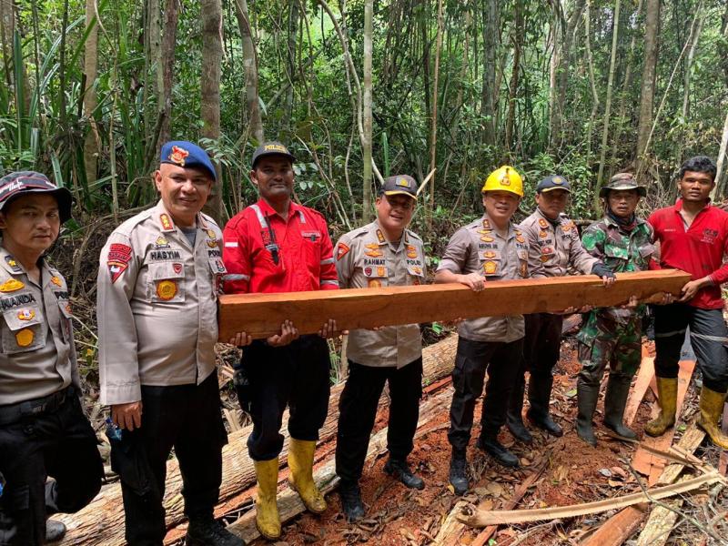 Kapolda Riau: Ini Keblinger, Kayu Ditebang, Dibakar, lalu Jadi Kebun Sawit