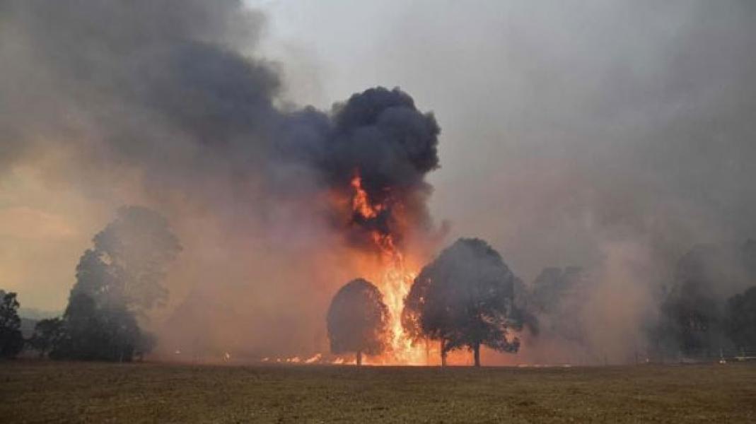 Kebakaran Hutan Australia Picu Badai Api