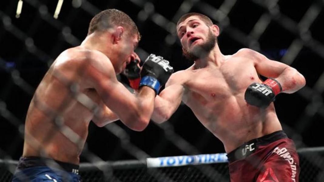 Khabib Dapat Rp105,7 Miliar dalam Dua Pertarungan di UFC