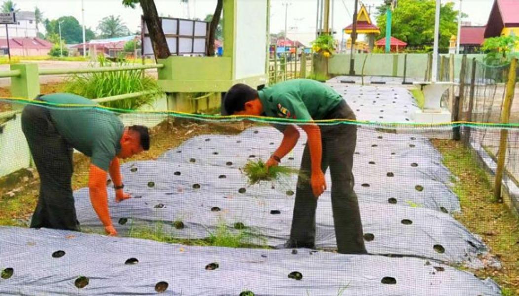 Koramil 10 Kunto Darussalam Tanam Jagung