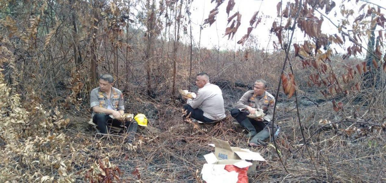 Terjun Langsung Padamkan Api, Kapolda Riau Berpeluh Keringat di Rupat Utara, Bengkalis 