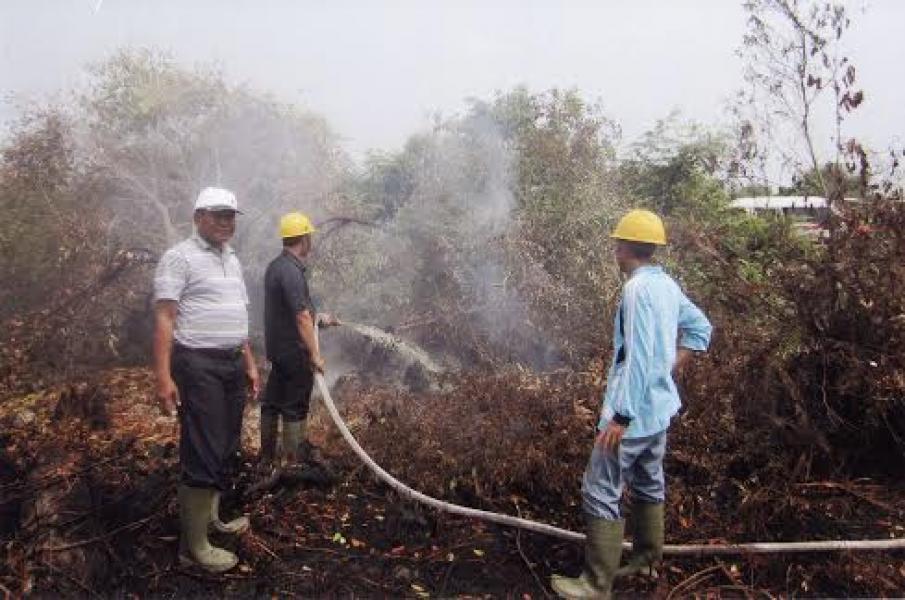  BPBPKD Pelalawan Pantau Titik Api di 12 Kecamatan