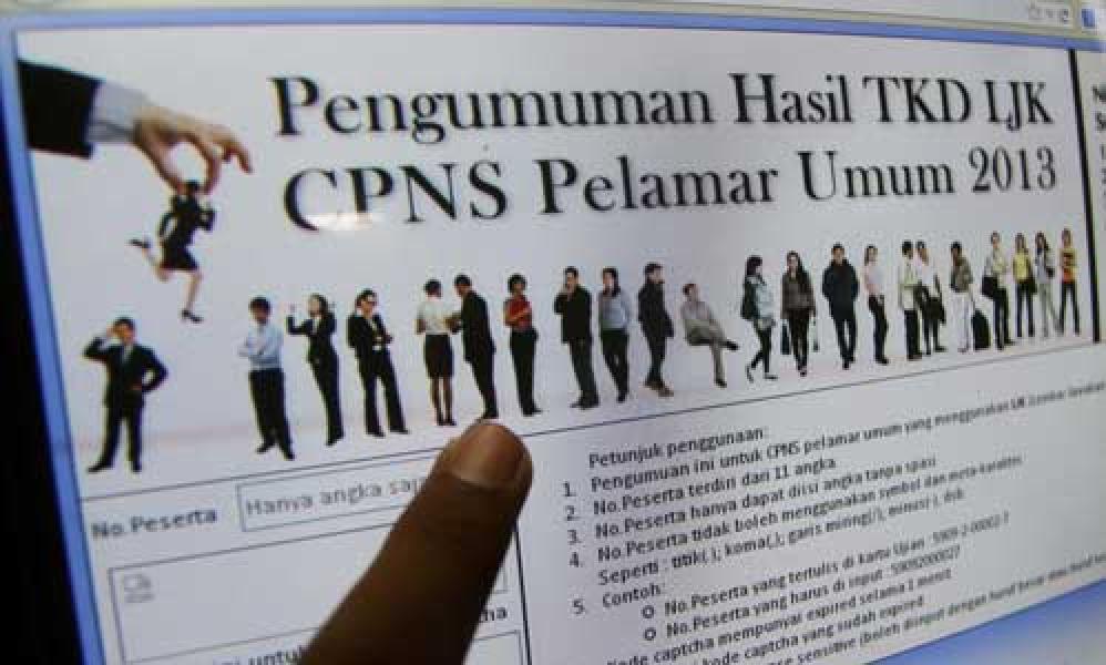 Dirjen Otda Tawarkan Solusi Penyelesaian CPNS Jalur Umum