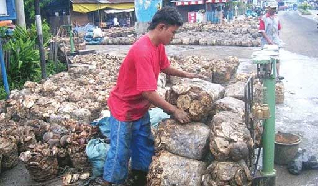 Harga Getah Kritis, Petani Menjerit
